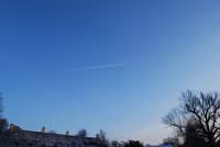 DSC_0299