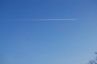 DSC_0300
